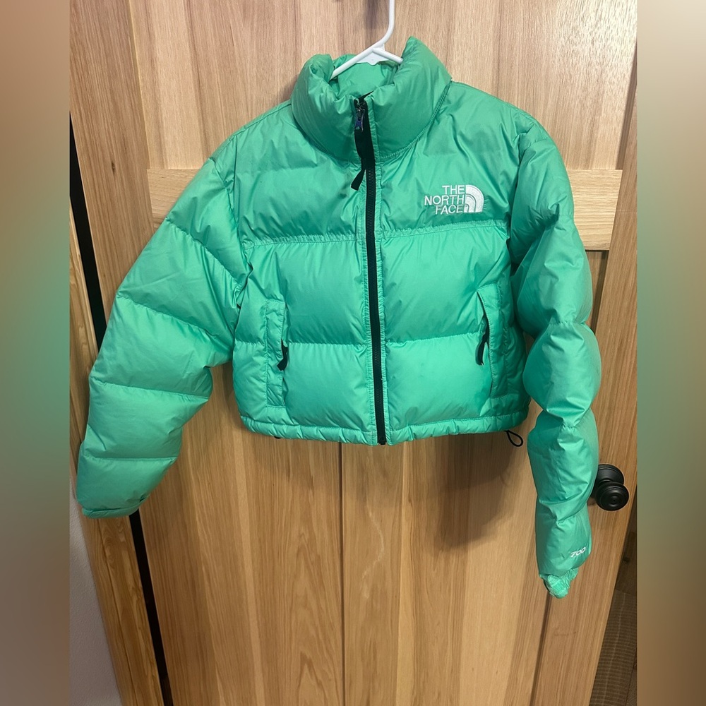 The North Face Cropped Nuptse Jacket 'Chlorophyll Green' size Small cropped - Picture 4 of 11